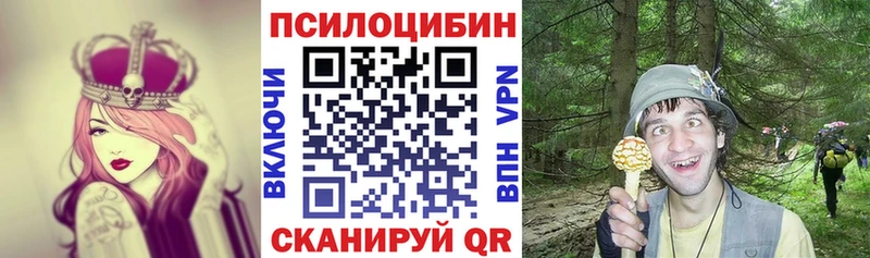 сколько стоит  Амурск  Галлюциногенные грибы мухоморы 